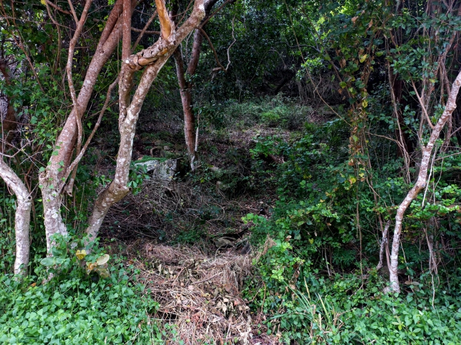 0 Bedroom Property for Sale in Wilderness Central Western Cape